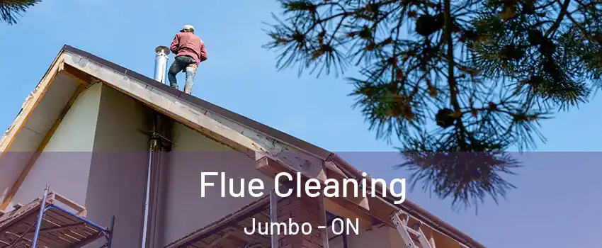  Flue Cleaning Jumbo - ON