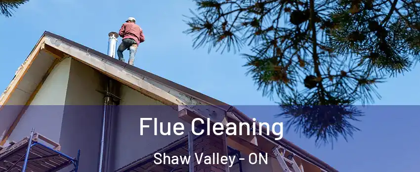  Flue Cleaning Shaw Valley - ON