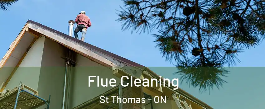  Flue Cleaning St Thomas - ON
