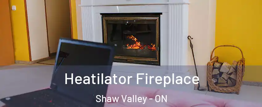  Heatilator Fireplace Shaw Valley - ON
