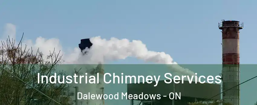 Industrial Chimney Services Dalewood Meadows - ON