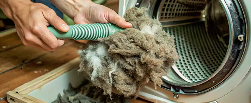 Best Dryer Lint Removal Company in St Thomas, Ontario