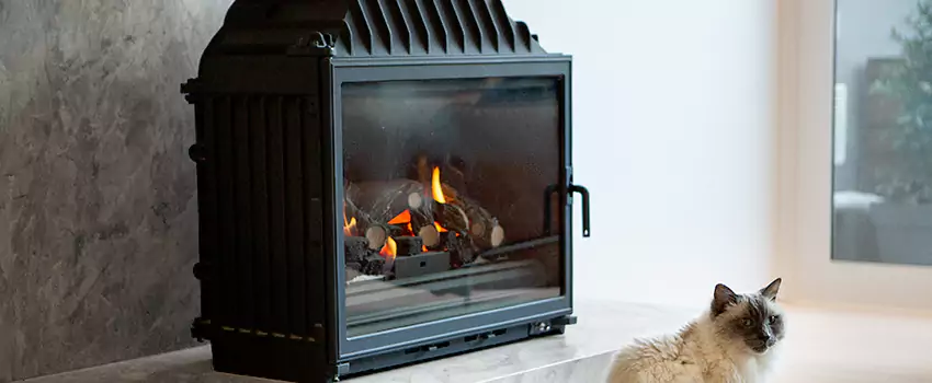 Fireplace Damaged Damper Frame Repair Services in St Thomas, Ontario