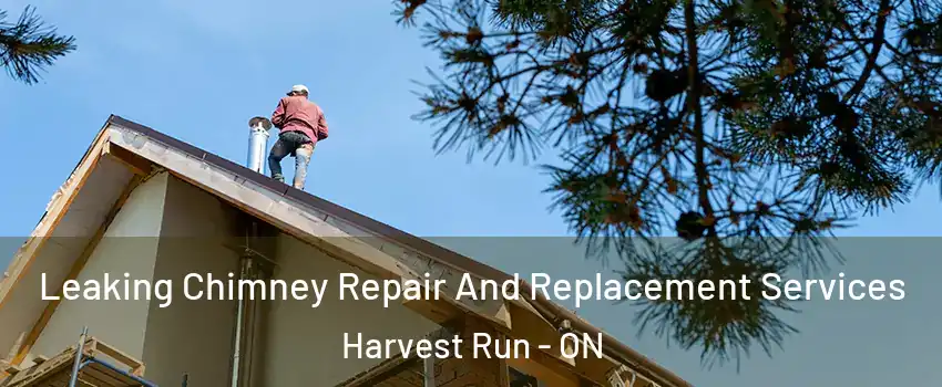  Leaking Chimney Repair And Replacement Services Harvest Run - ON