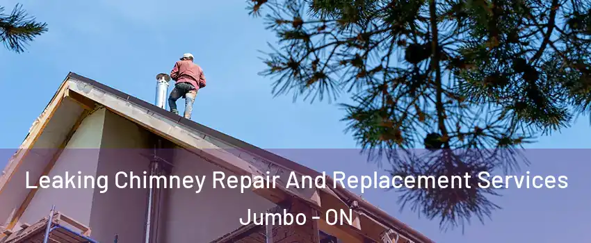  Leaking Chimney Repair And Replacement Services Jumbo - ON