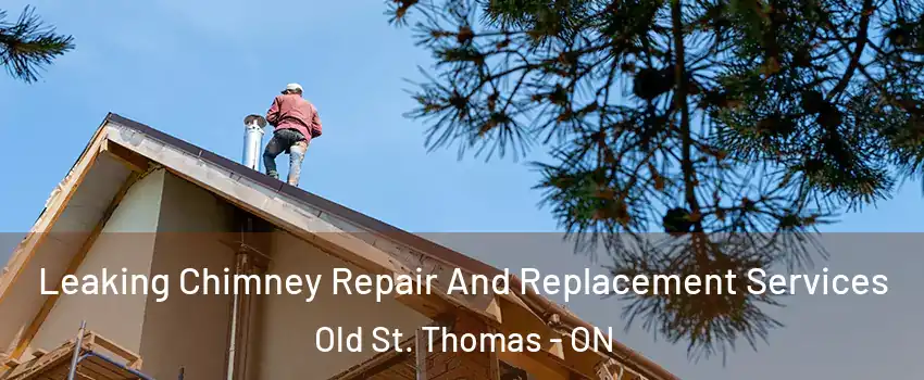  Leaking Chimney Repair And Replacement Services Old St. Thomas - ON