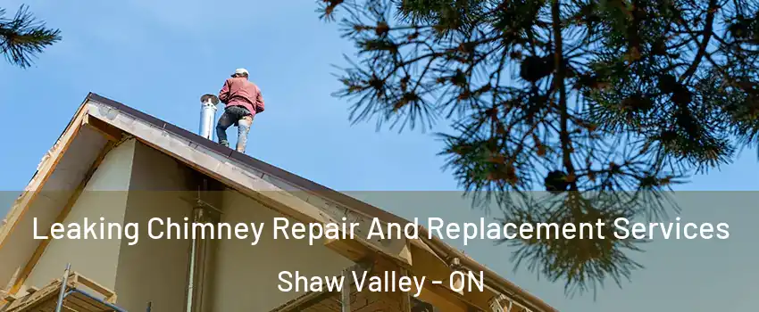  Leaking Chimney Repair And Replacement Services Shaw Valley - ON