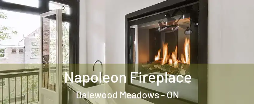  Napoleon Fireplace Dalewood Meadows - ON