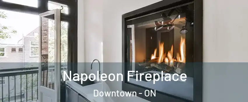  Napoleon Fireplace Downtown - ON