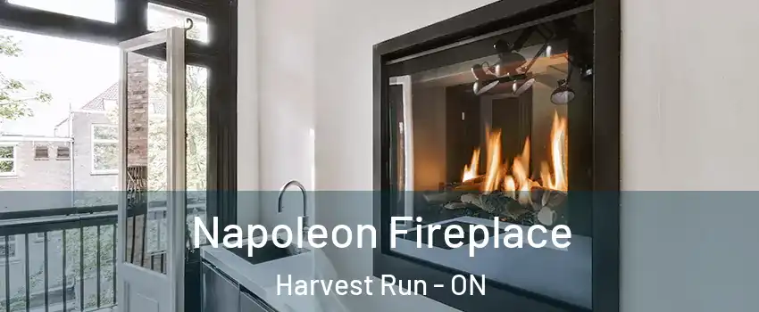  Napoleon Fireplace Harvest Run - ON