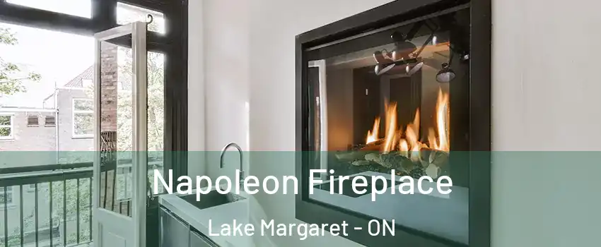  Napoleon Fireplace Lake Margaret - ON