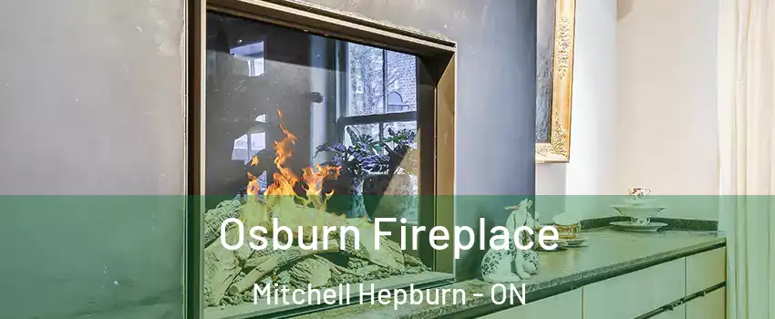  Osburn Fireplace Mitchell Hepburn - ON