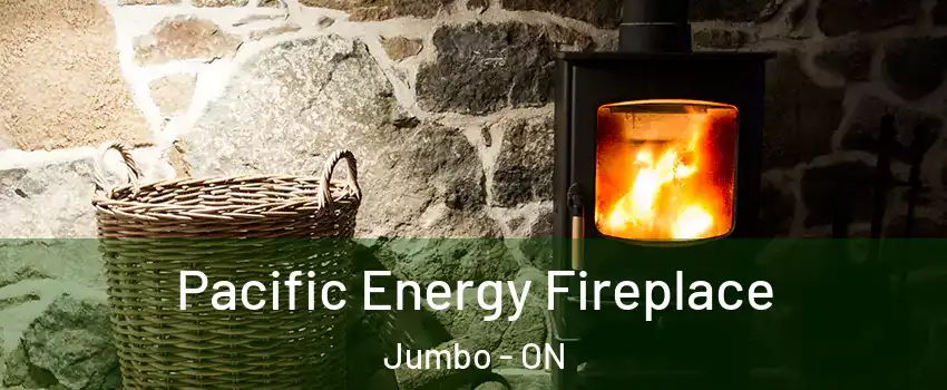  Pacific Energy Fireplace Jumbo - ON