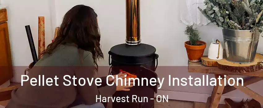  Pellet Stove Chimney Installation Harvest Run - ON