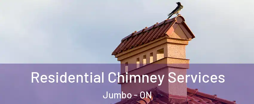  Residential Chimney Services Jumbo - ON