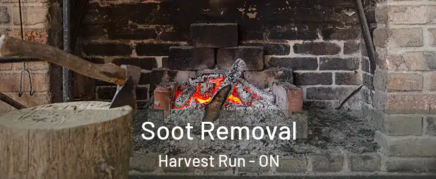  Soot Removal Harvest Run - ON
