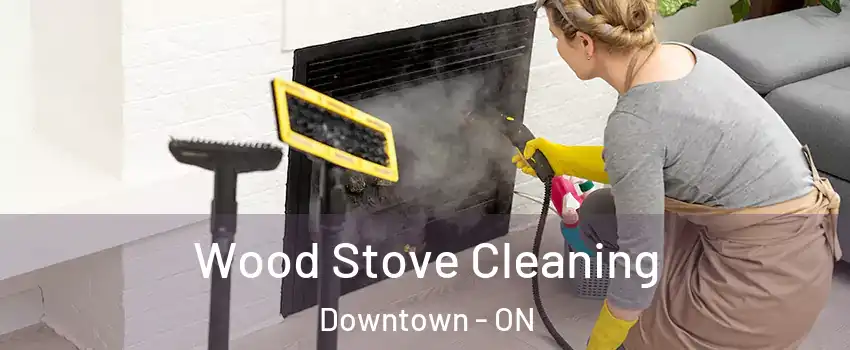  Wood Stove Cleaning Downtown - ON