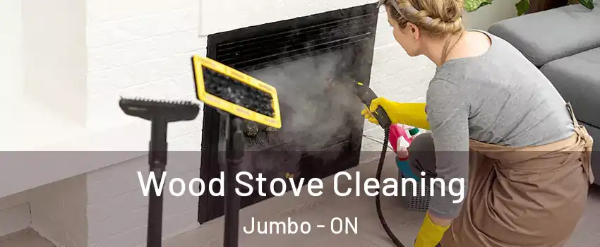  Wood Stove Cleaning Jumbo - ON